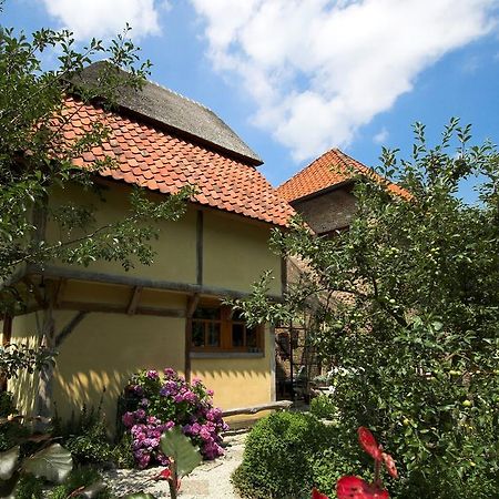 B&B Tspijker Mol Exteriör bild
