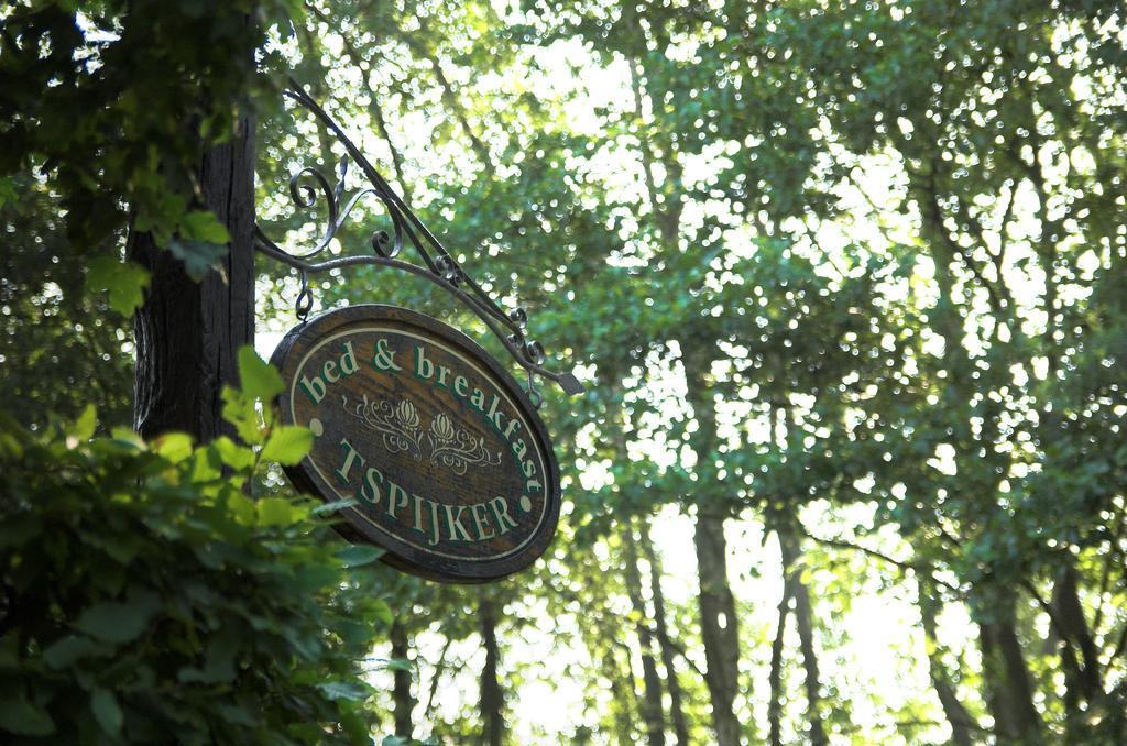 B&B Tspijker Mol Exteriör bild