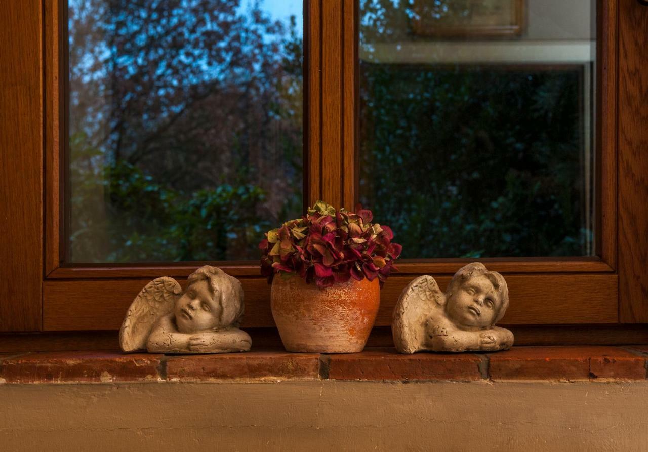 B&B Tspijker Mol Exteriör bild