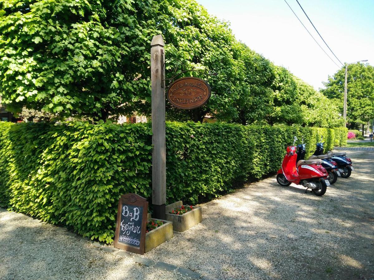 B&B Tspijker Mol Exteriör bild